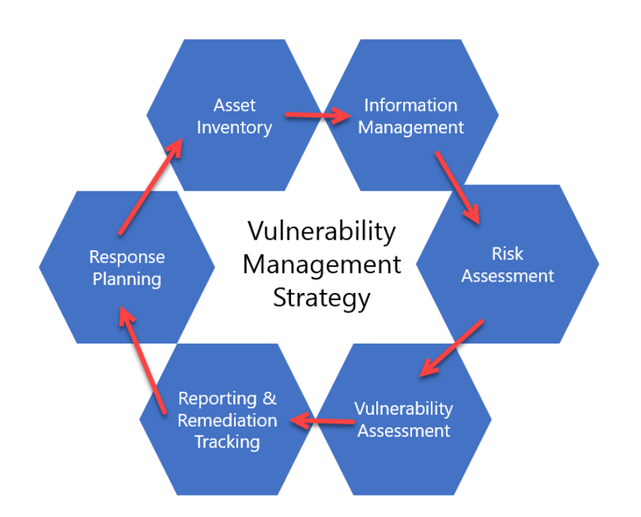 Figure 1: Vulnerability Management Strategy.