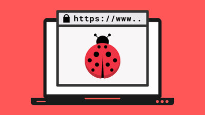 Learn Bug Bounty Hunting & Web Security Testing From Scratch