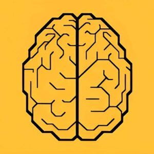 Icon of a stylized black brain on a yellow background representing zSecurity’s Learn Social Engineering from Scratch course.