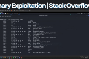 Private: Binary Exploitation| Stack Overflows